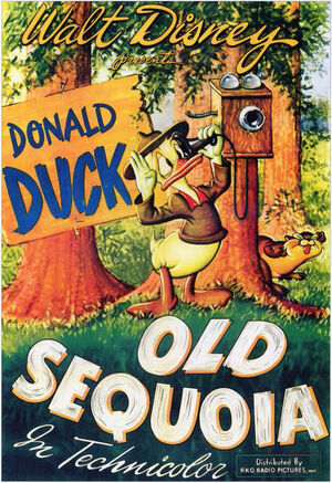 D old sequoia poster