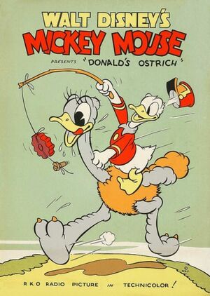 D ostrich poster