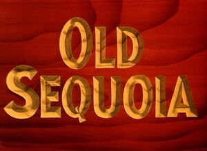 D old sequoia