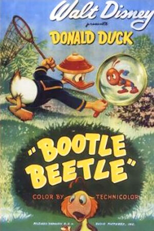 D bootle beetle poster