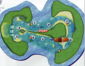 Whale bay map