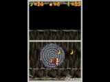 Dk-jungle-climber-20070629073337084 thumb ign