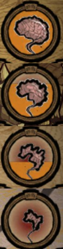 Brain