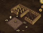 Spider trap