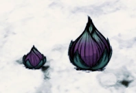bulb_plant