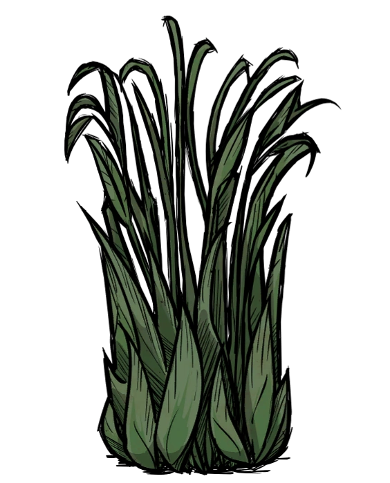 Image Juicy Berry Bush Picked.png Don't Starve game Wiki FANDOM