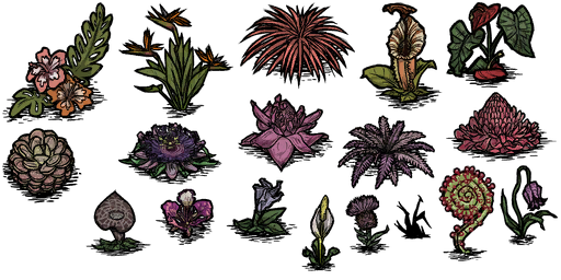 Flower Don T Starve Wiki Fandom Flower Don T Starve Wiki Fandom