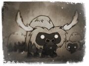 Beefalo Field Note