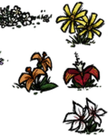 Flower Don T Starve Wiki Fandom Flower Don T Starve Wiki Fandom