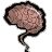 Brain