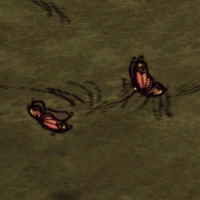 Bildergebnis für butterfly don't starve"