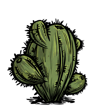 Oasis Cactus