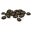 Cooked Coffee Beans