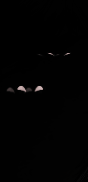 Eyes