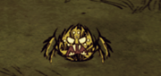 Warrior Spider