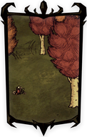 Birchnut Forest Portrait Background