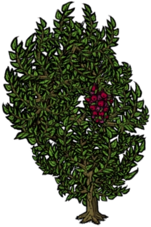 latest?cb=20190426200322