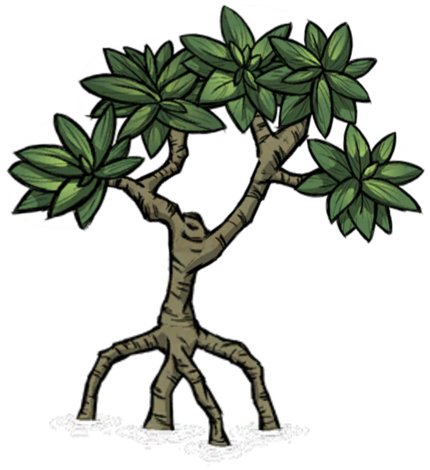 Tree Mangrove Tree Don T Starve 攻略 Wiki Fandom