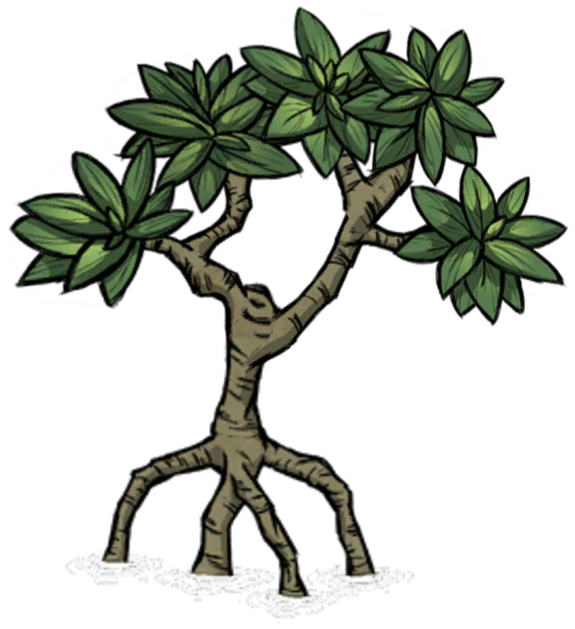 Mangrove Tree | Don't Starve game Wiki | Fandom