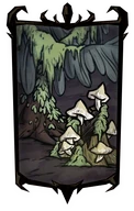 Mushroom Portrait Background