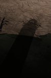 Shadow Watcher