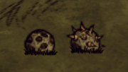 Bee Mines