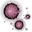 Red Spore