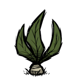 dont starve wiki mandrake dont starve wiki mandrake