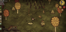 Set up camp