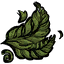 Foliage old