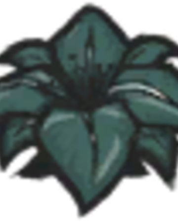 Jungle Floor Ferns Don T Starve Wiki Fandom