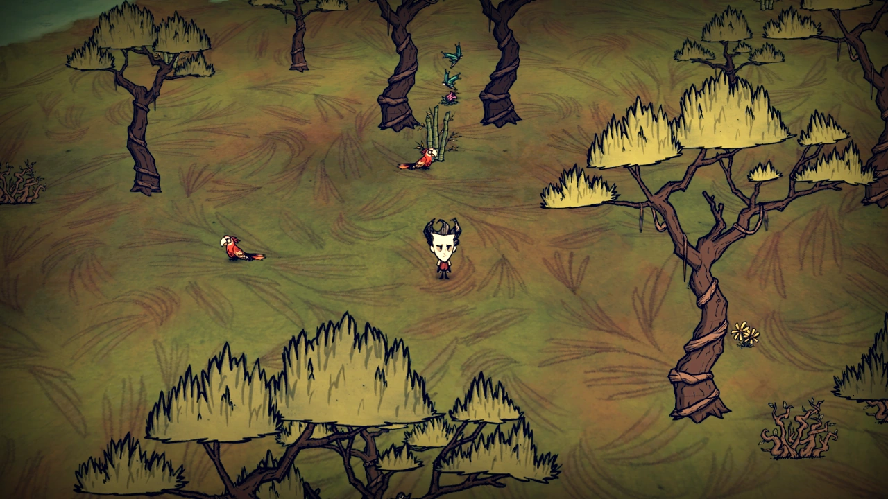 Jungle Don't Starve game Wiki FANDOM powered by Wikia