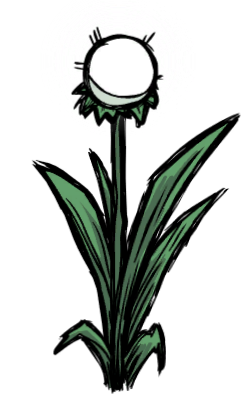 Light Flower Don T Starve Wiki Fandom Light Flower Don T Starve Wiki