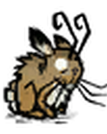 Rabbit Don T Starve 攻略 Wiki Fandom