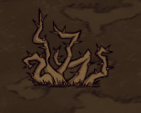 Spiky bush