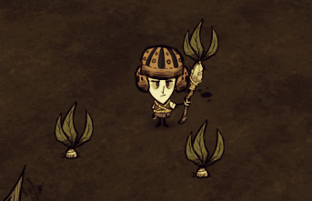 Суп из мандрагоры в don't starve