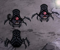 Araignée des caves