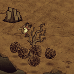 Perekati Pole Don T Starve Viki Fandom,Aesthetic Anime Girl With Short Black Hair And Glasses