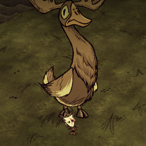 Elan Oie Wiki Don T Starve Fandom