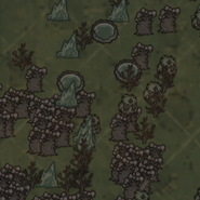 Lunar Forest