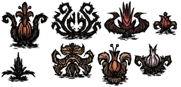 Hoa | Don't Starve Wiki | Fandom