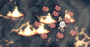 Plante a café flammes