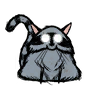 Kociszop (RoG)