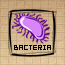 Bacteria (DG)