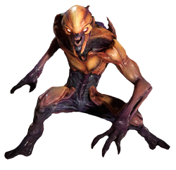 IMP
