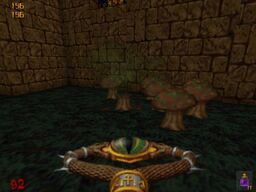Hexen mushroom