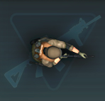 Assaulter