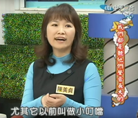 陳美貞