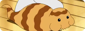 Tsuchinokonew