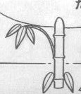 七夕許願火箭